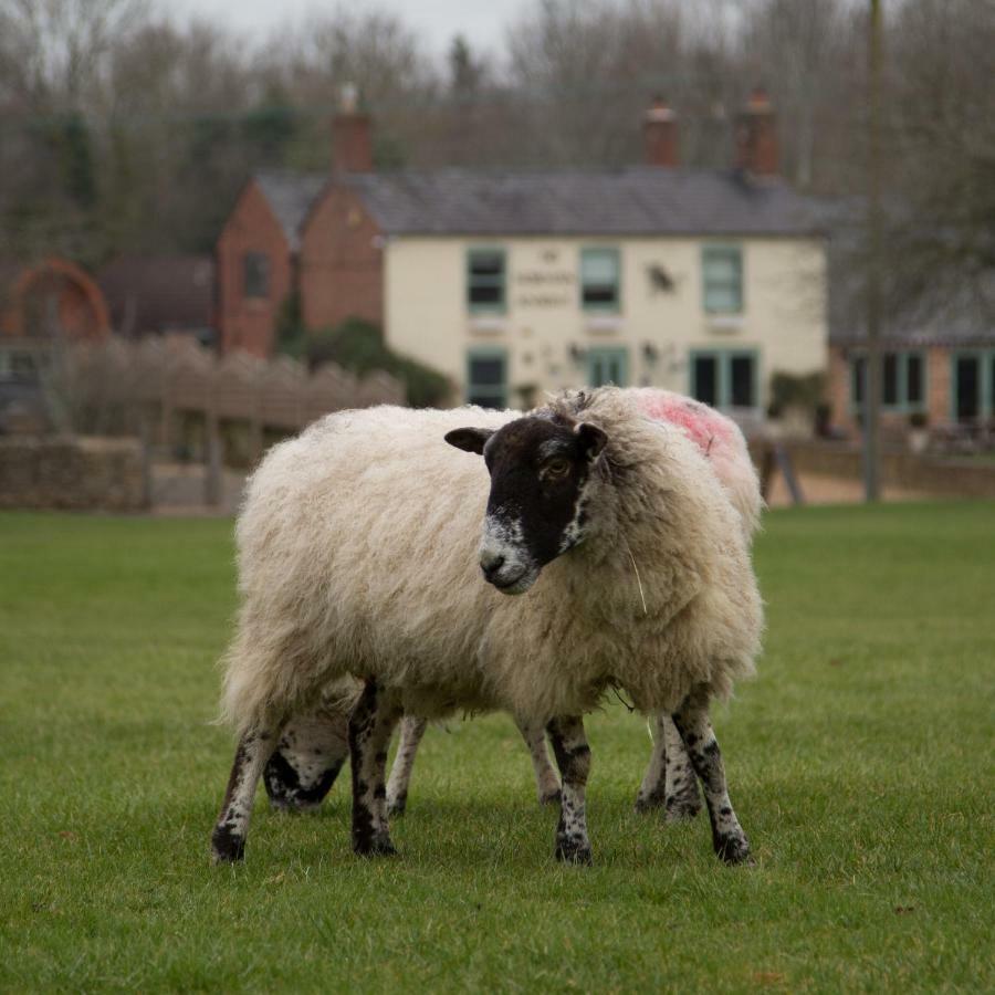 The Norman Knight Whichford Hotel Long Compton Екстериор снимка